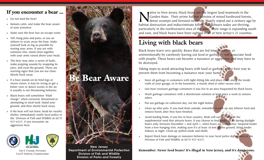 Bear Safety Brochure - Front