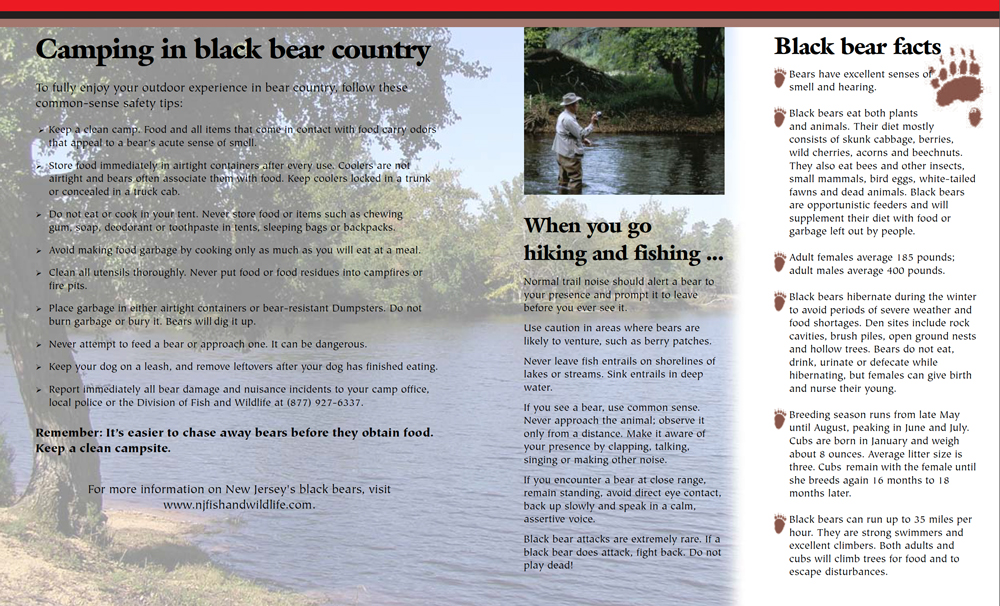 Bear Safety Brochure - Back
