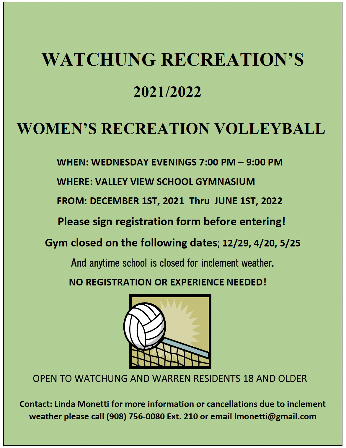 womens volleyball flyer