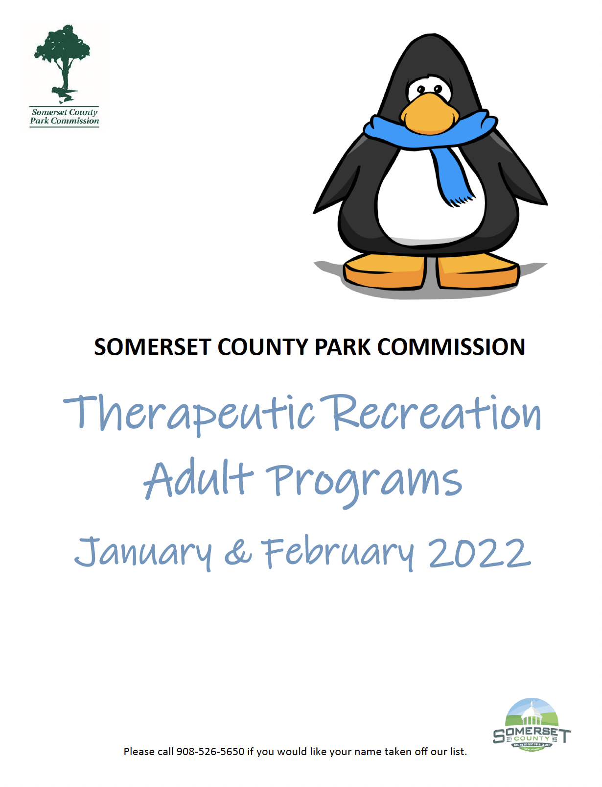 Therapeutic Recreation Programs Flyer
