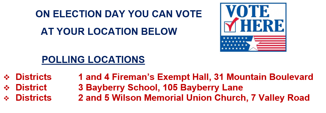 vote by mail information