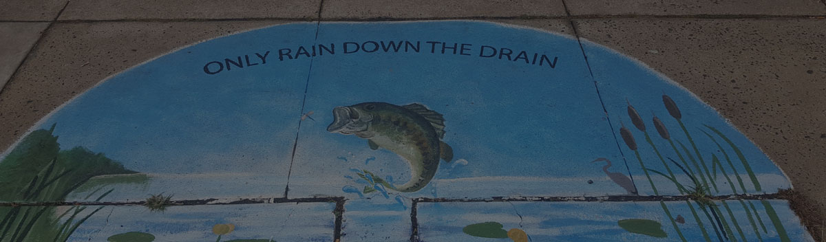 What can you do to help prevent stormwater pollution?